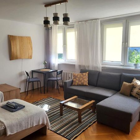 Lemuria Pokoje Wlk Niedzwiedzicy Hostel Легница Екстериор снимка